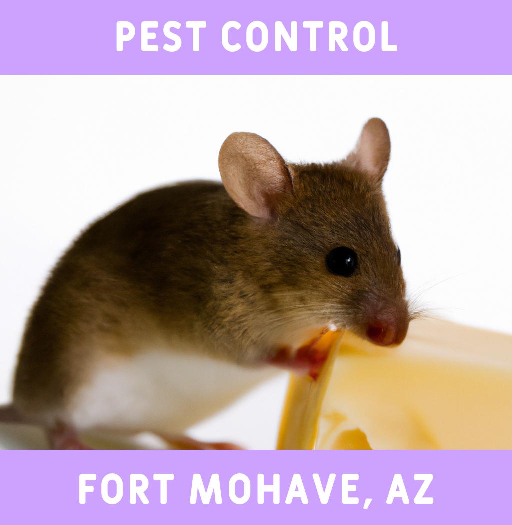 pest control in Fort Mohave Arizona