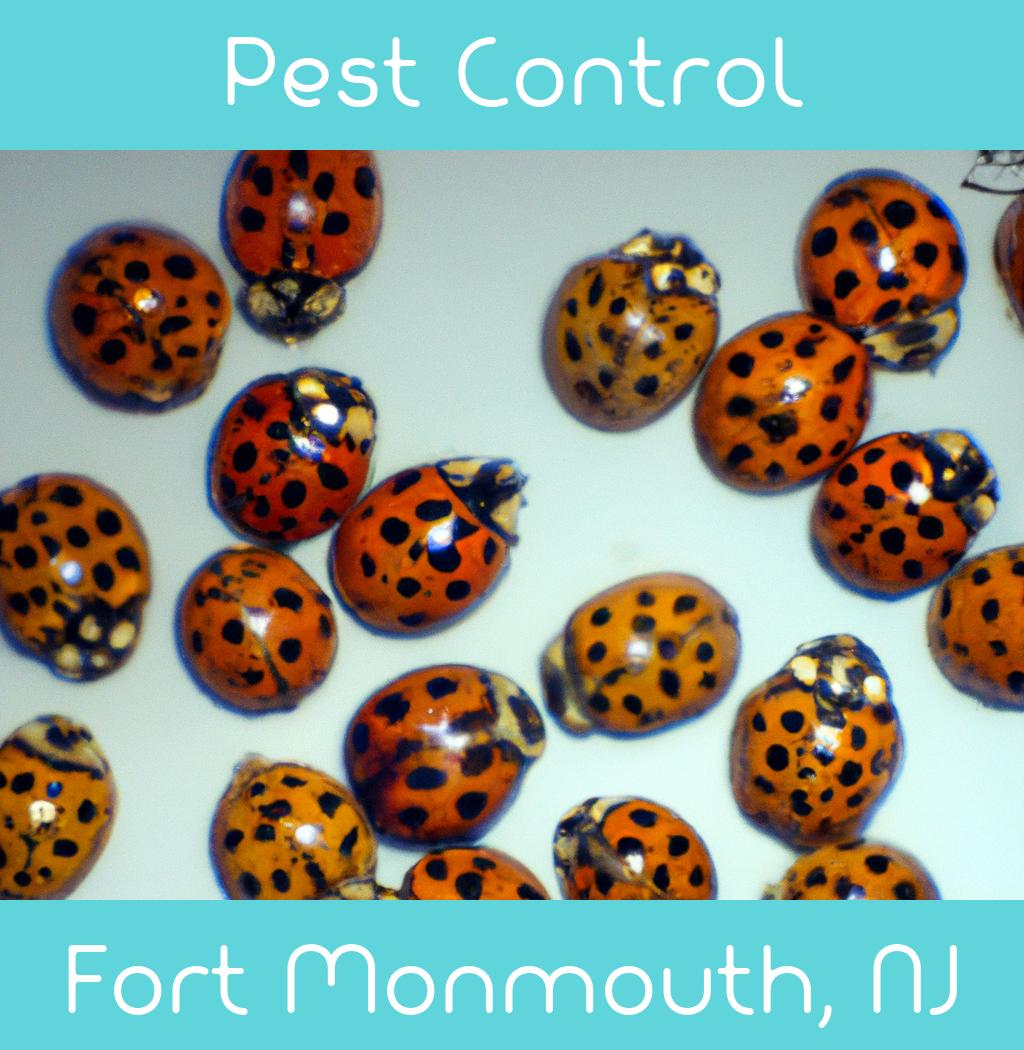 pest control in Fort Monmouth New Jersey
