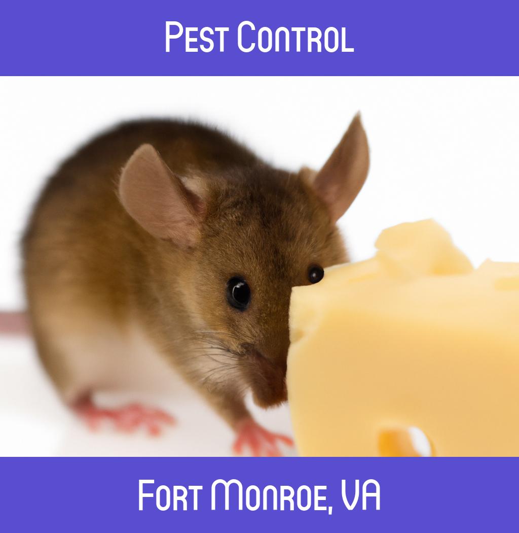 pest control in Fort Monroe Virginia