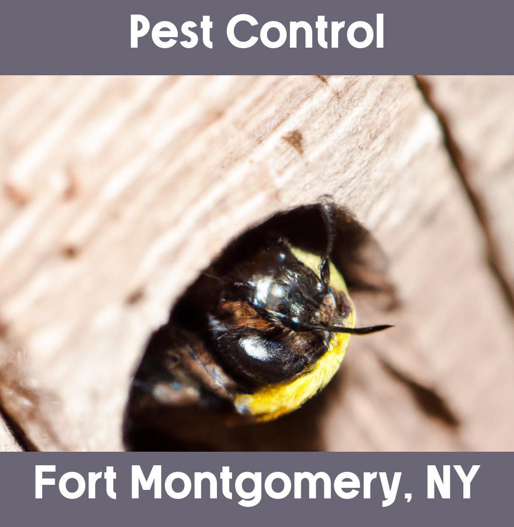 pest control in Fort Montgomery New York