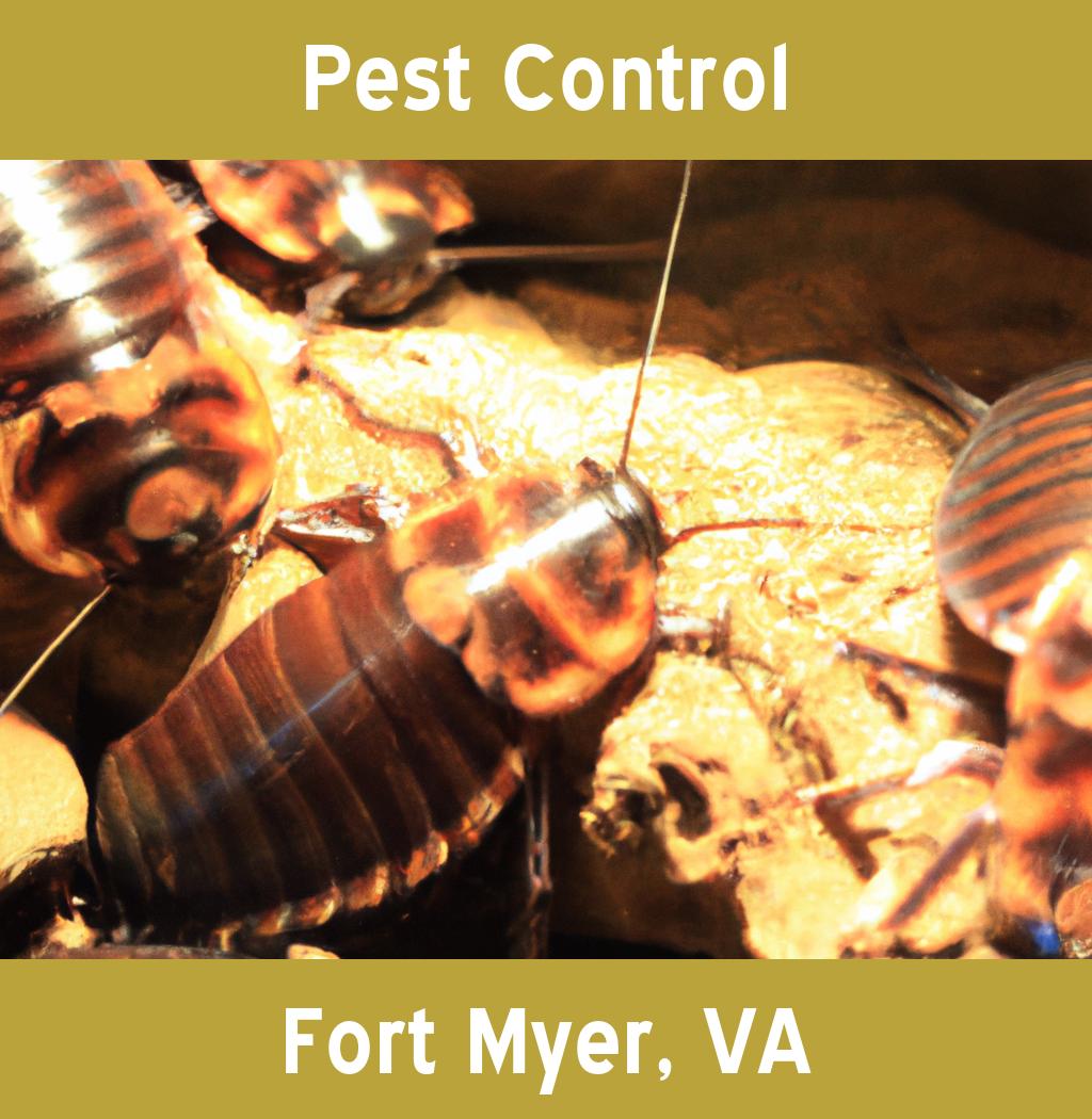pest control in Fort Myer Virginia