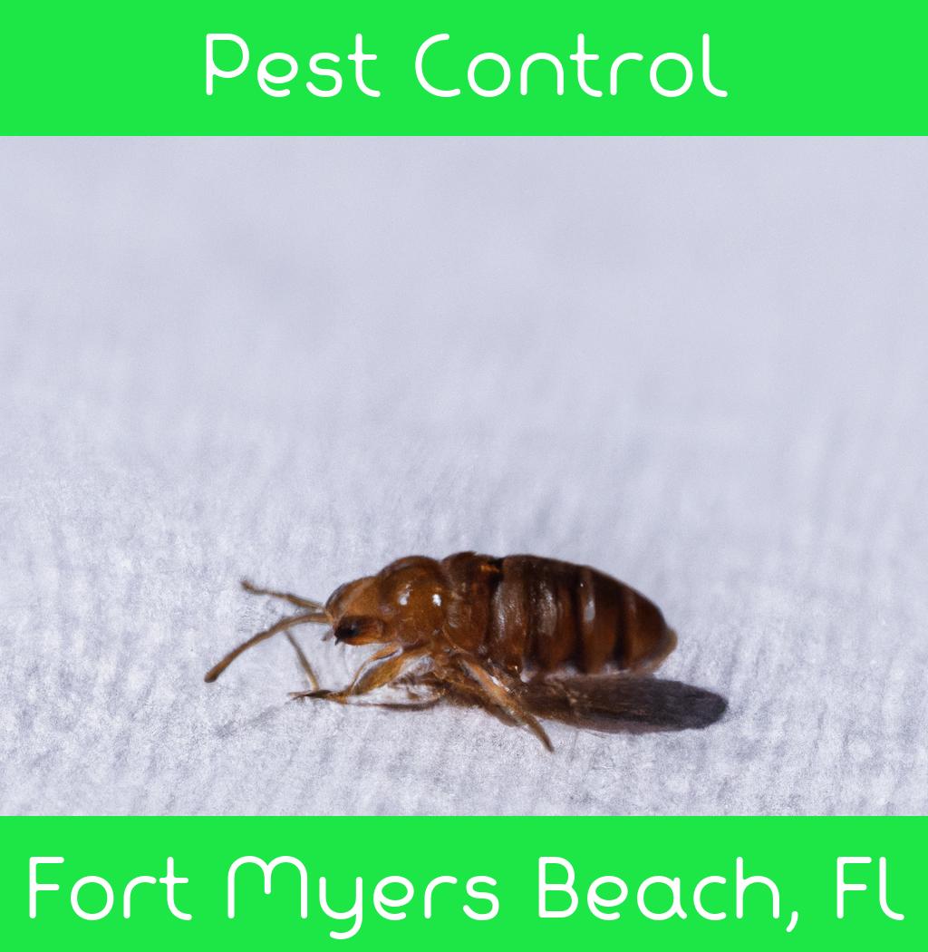 pest control in Fort Myers Beach Florida
