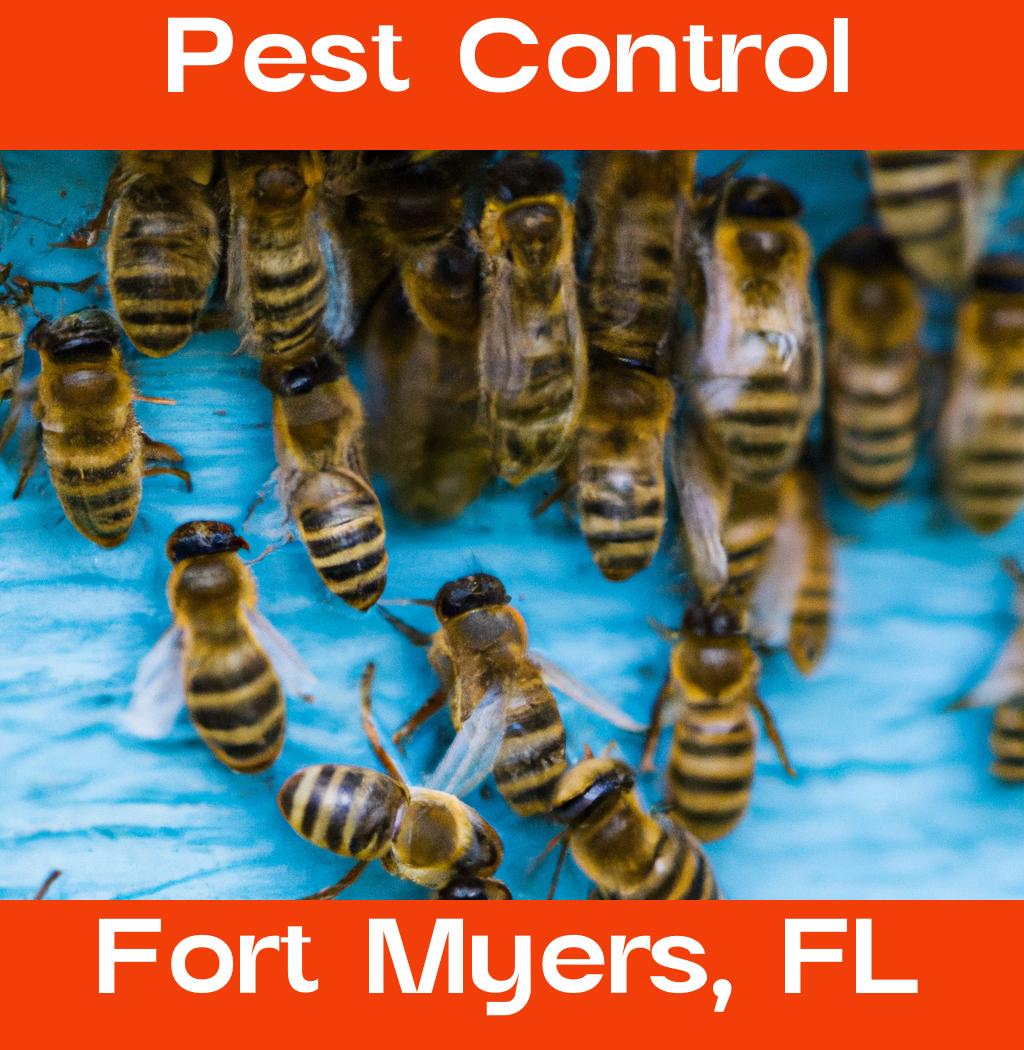 pest control in Fort Myers Florida