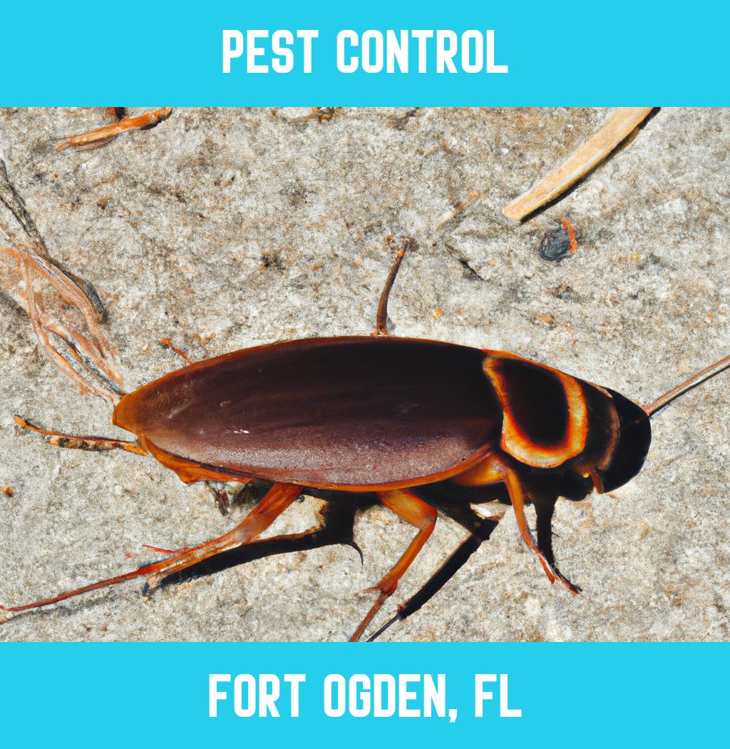 pest control in Fort Ogden Florida