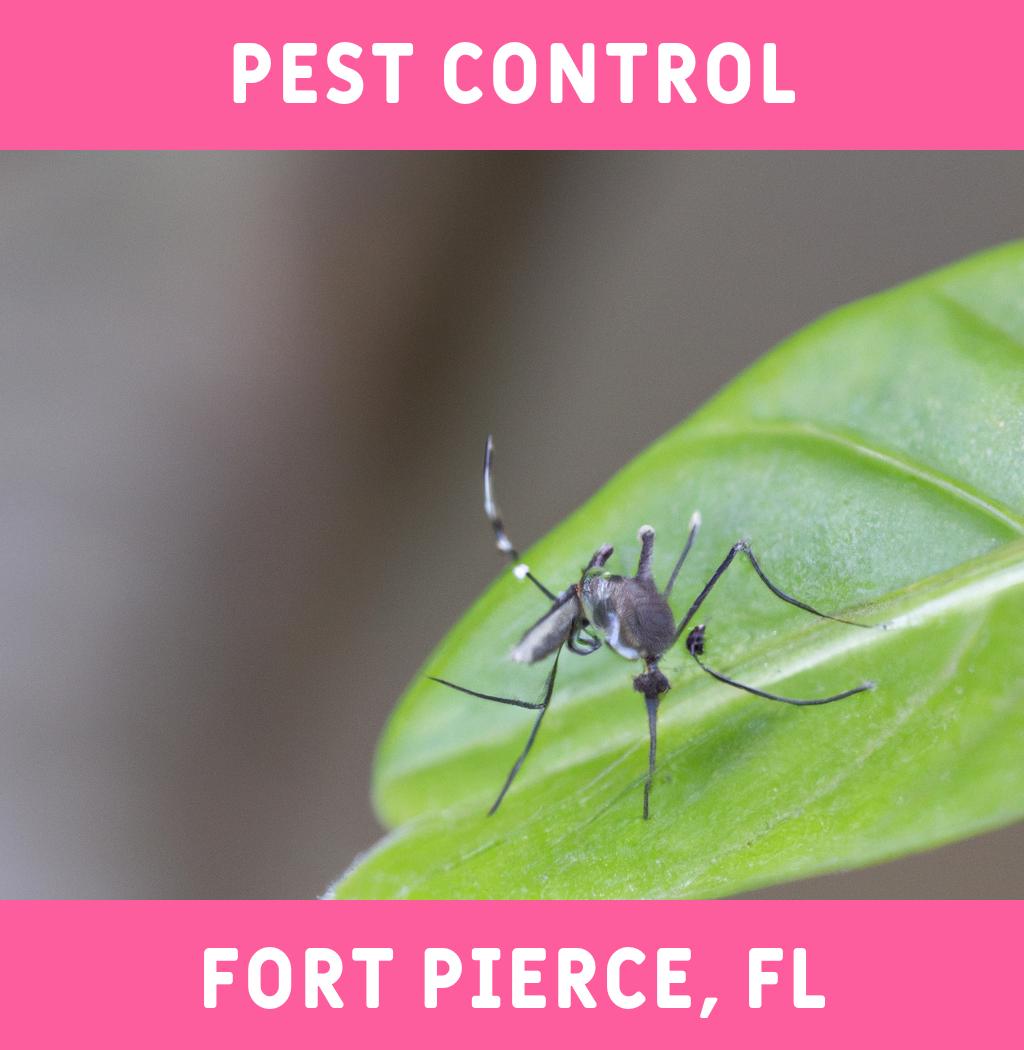 pest control in Fort Pierce Florida