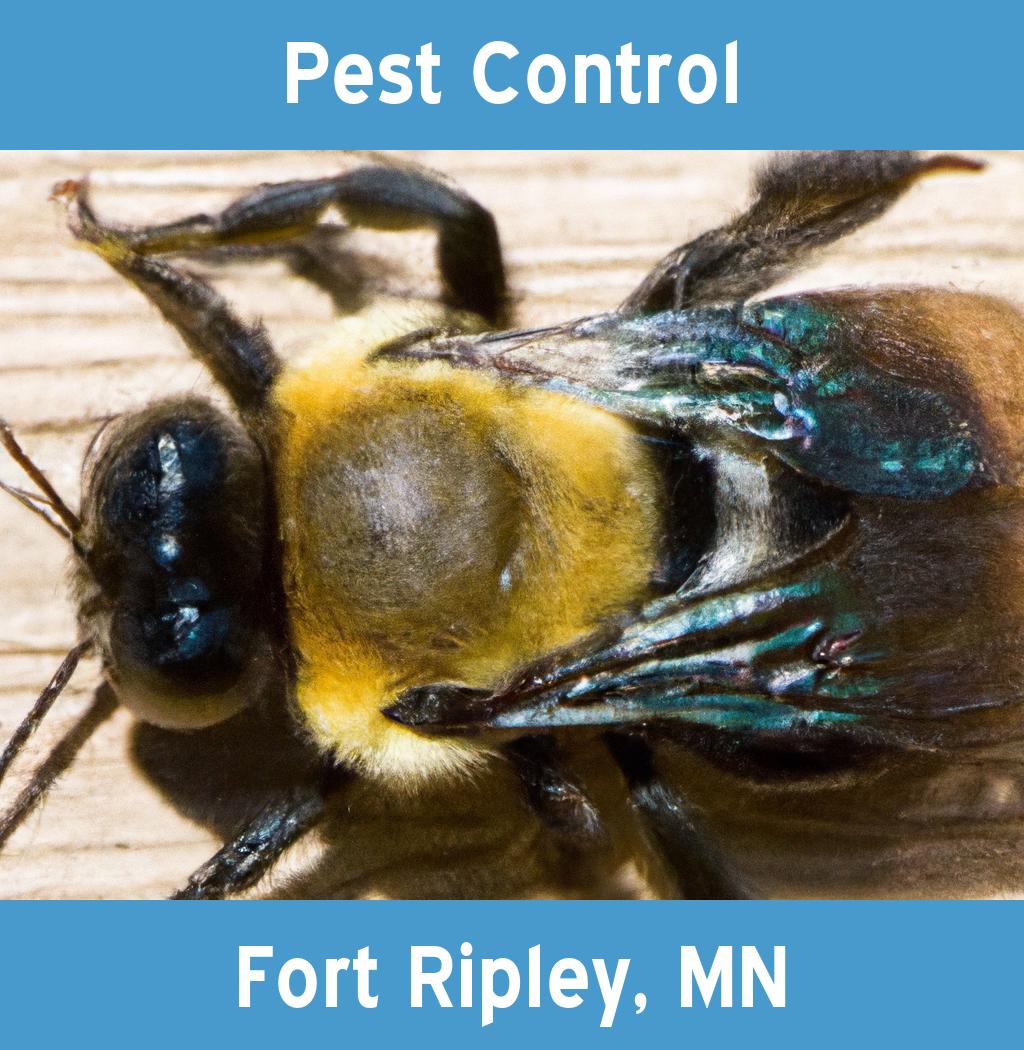 pest control in Fort Ripley Minnesota