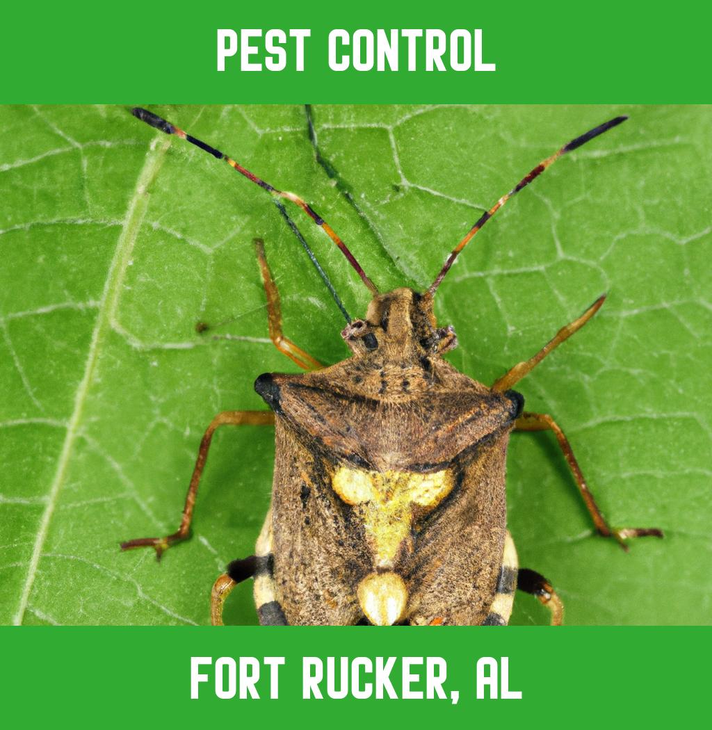 pest control in Fort Rucker Alabama