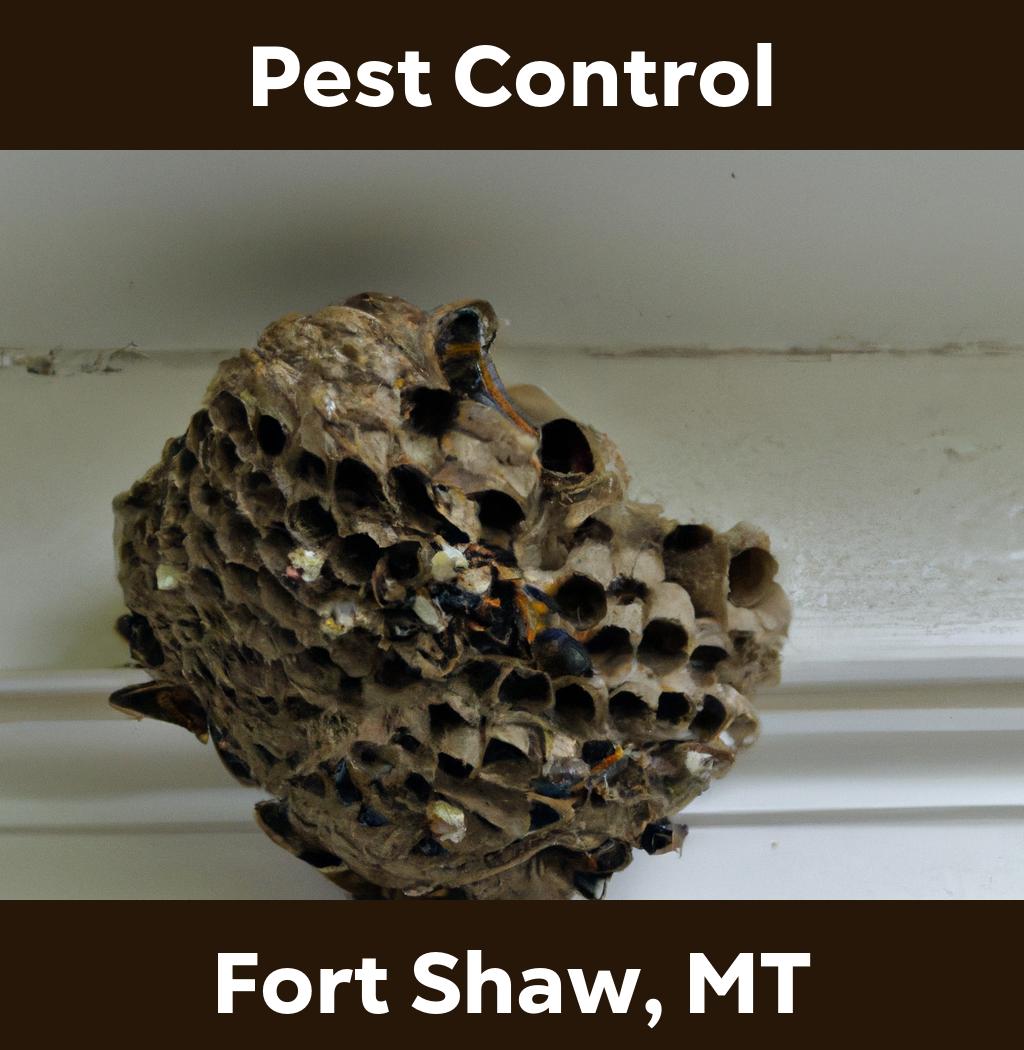 pest control in Fort Shaw Montana