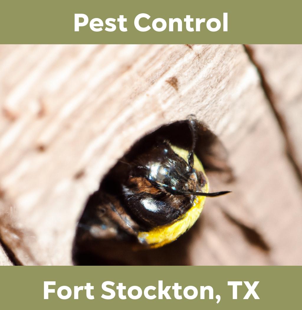 pest control in Fort Stockton Texas
