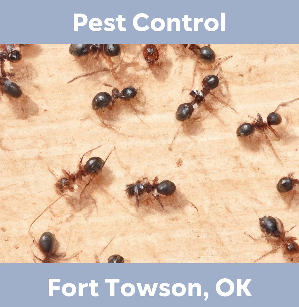 pest control in Fort Towson Oklahoma