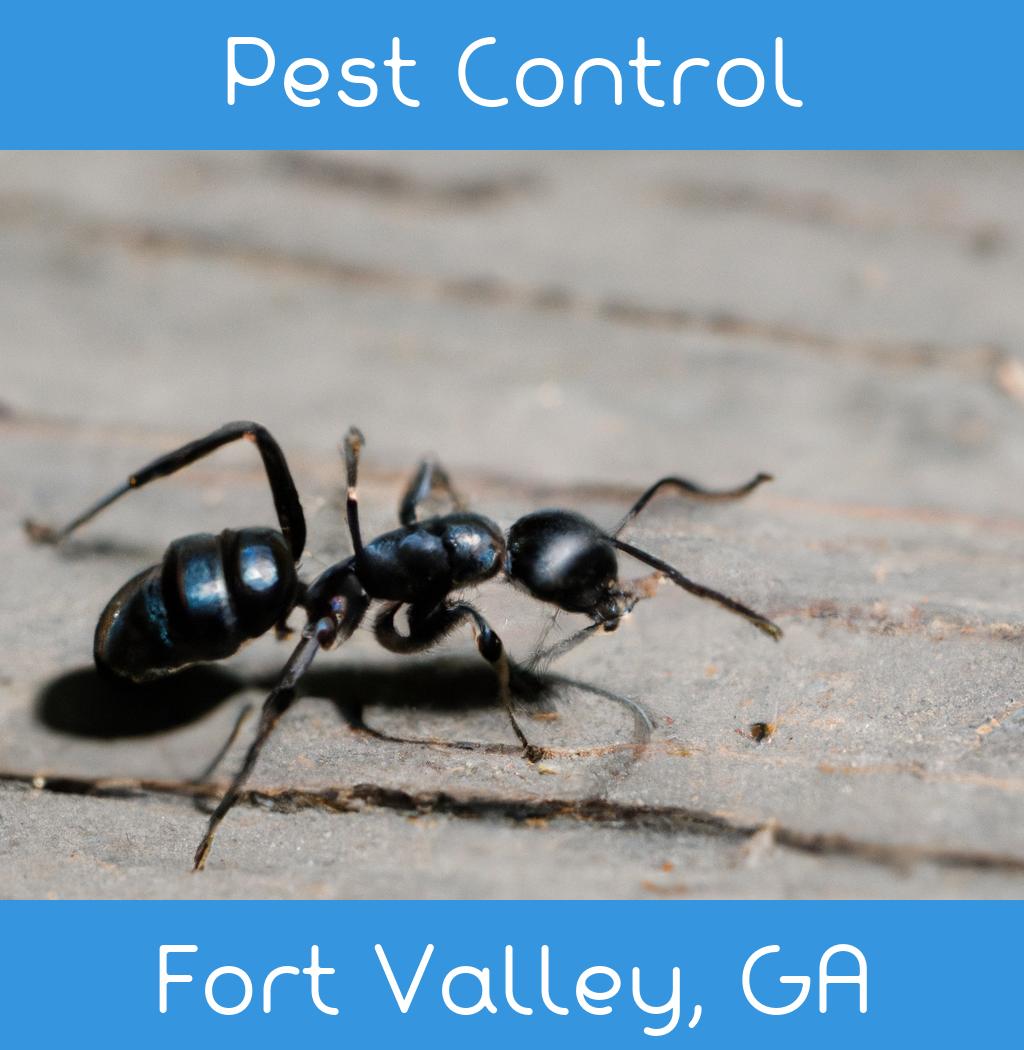 pest control in Fort Valley Georgia