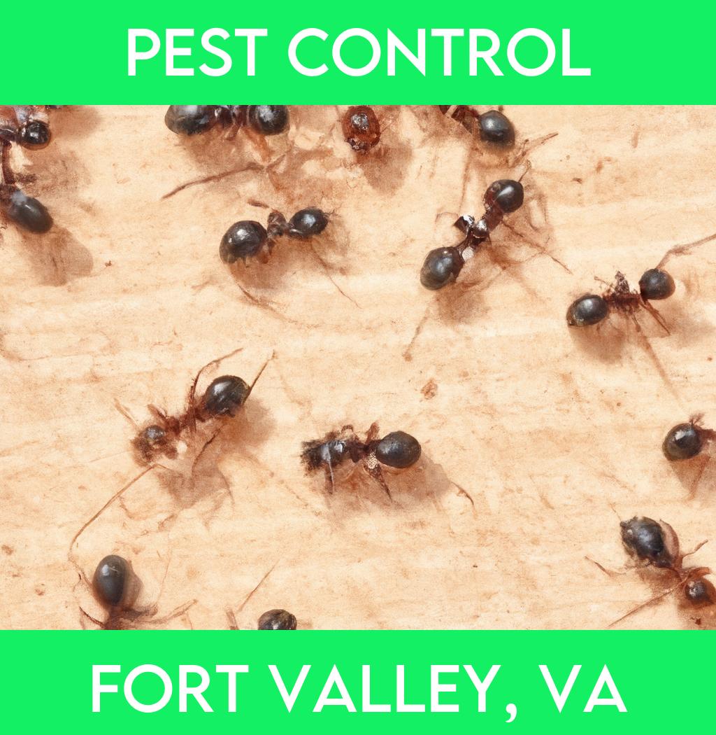 pest control in Fort Valley Virginia