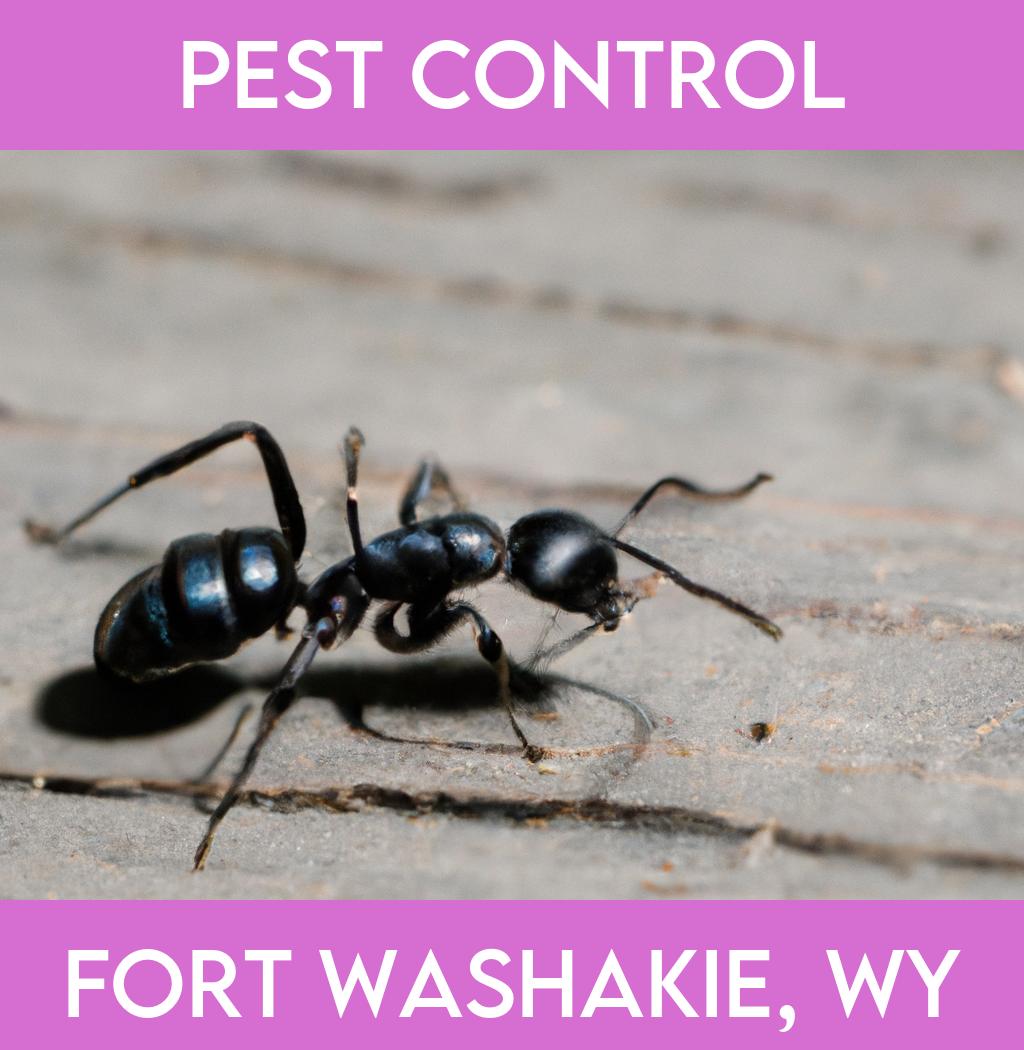 pest control in Fort Washakie Wyoming