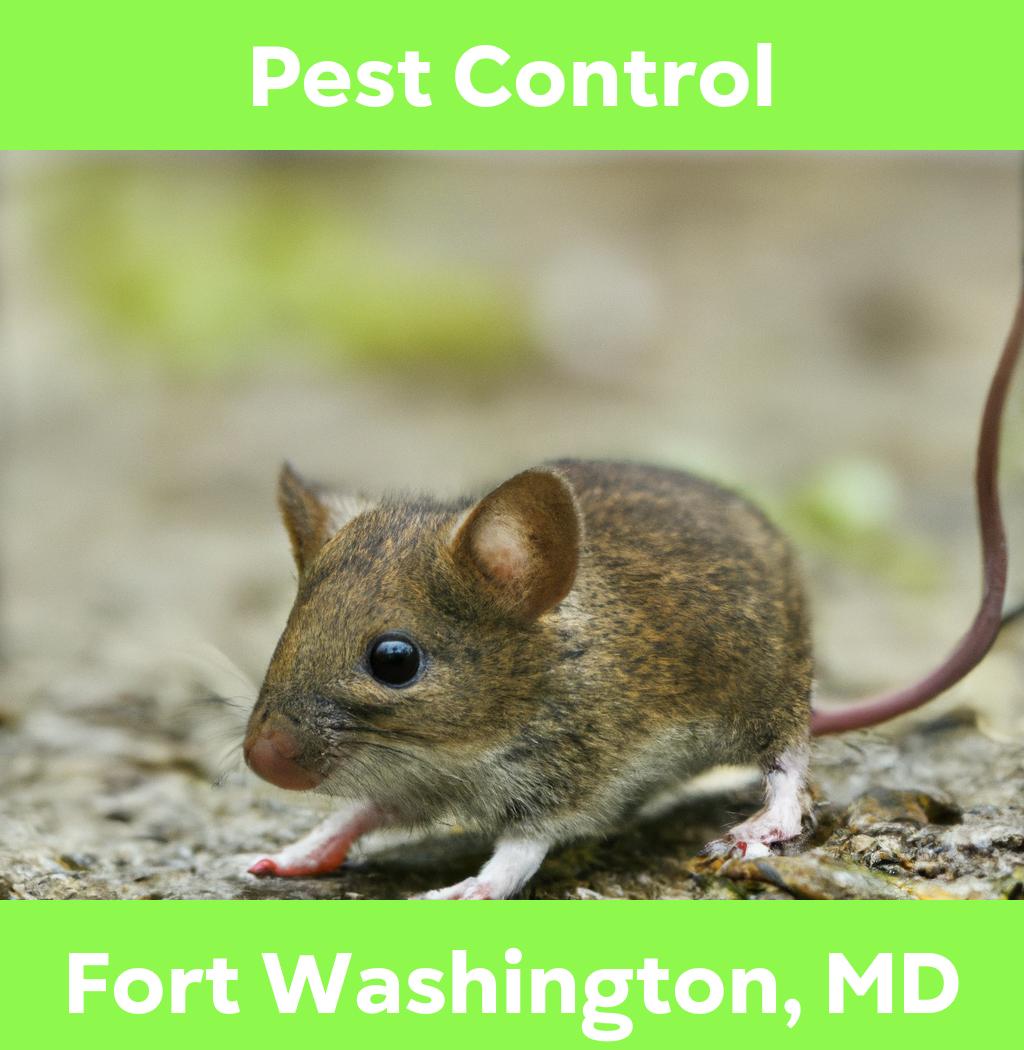 pest control in Fort Washington Maryland