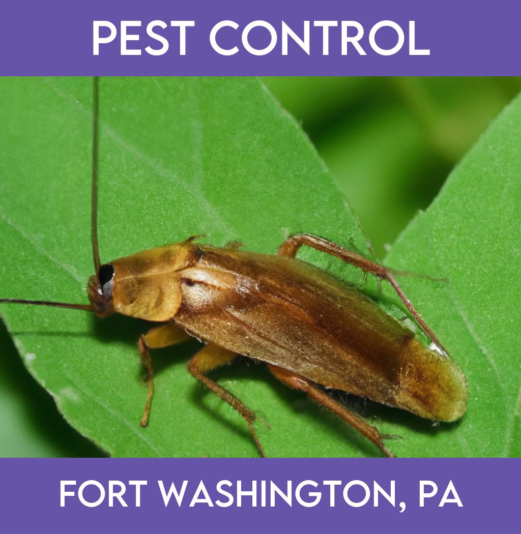 pest control in Fort Washington Pennsylvania