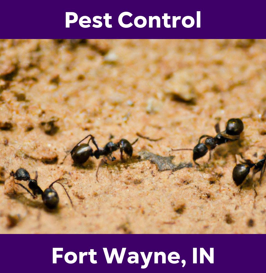 pest control in Fort Wayne Indiana