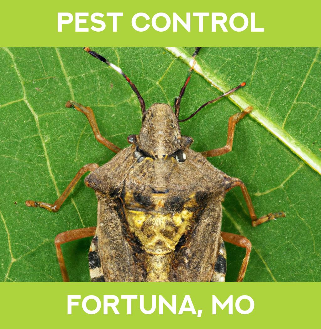 pest control in Fortuna Missouri