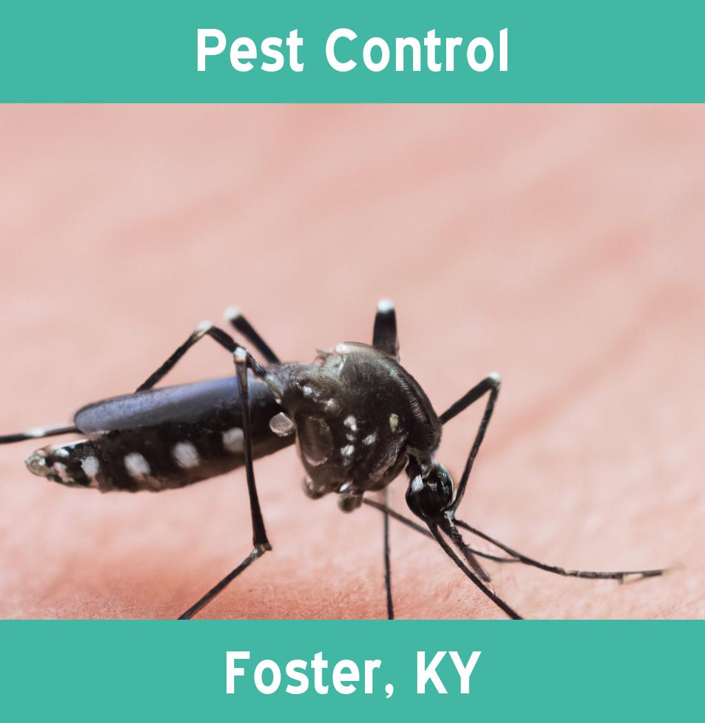 pest control in Foster Kentucky