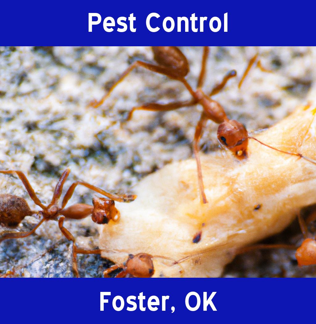 pest control in Foster Oklahoma