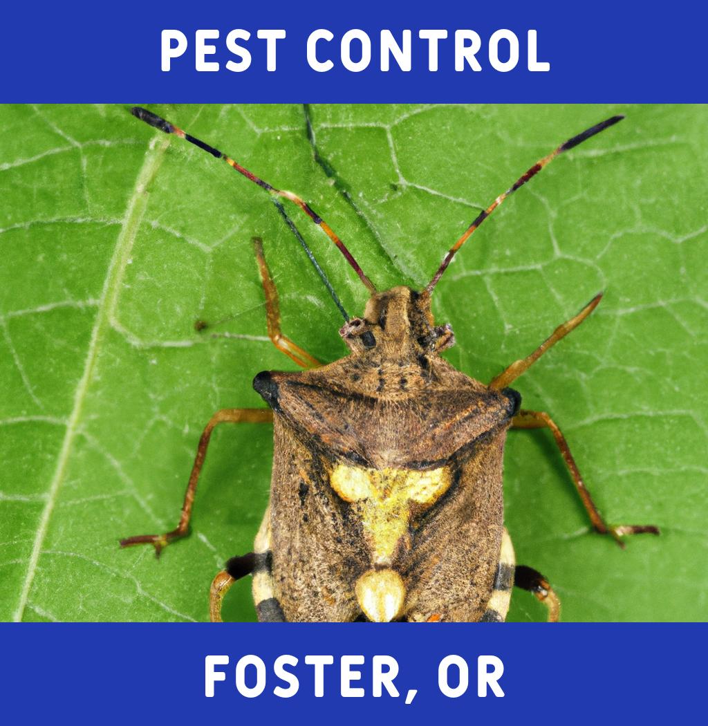 pest control in Foster Oregon