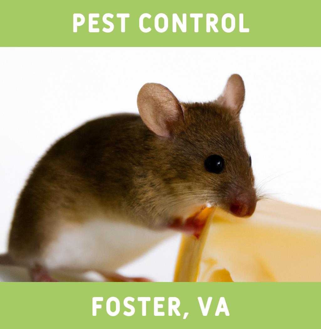 pest control in Foster Virginia