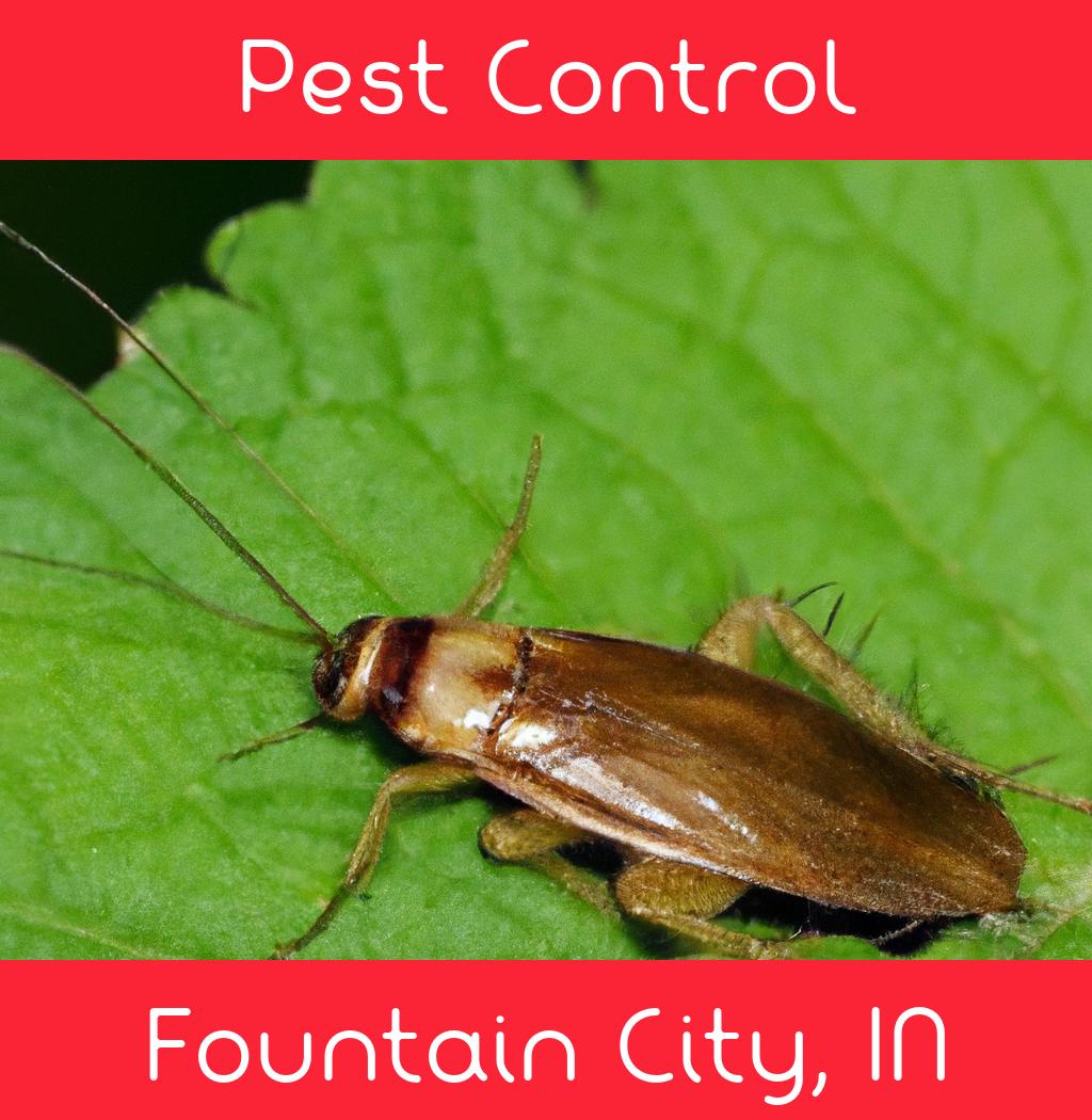 pest control in Fountain City Indiana