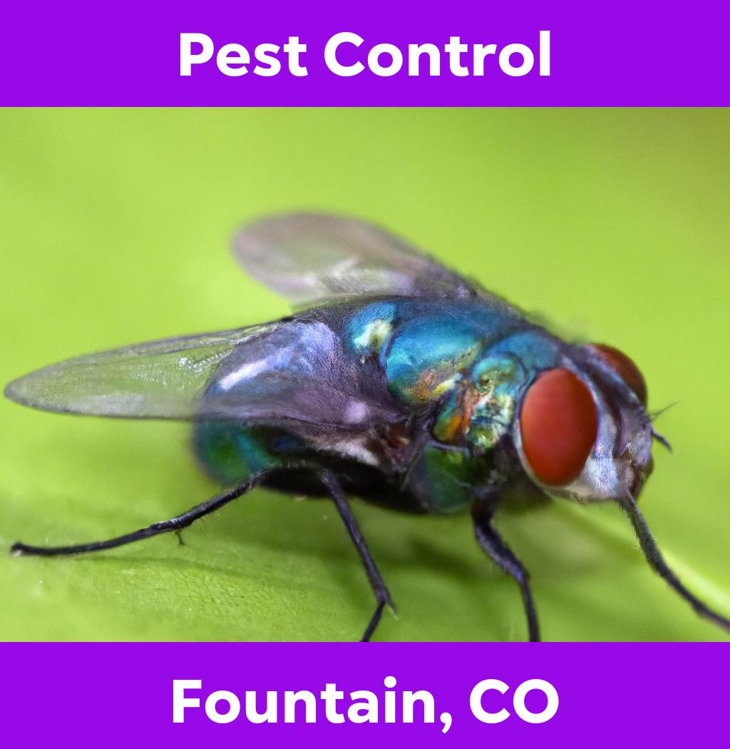 pest control in Fountain Colorado