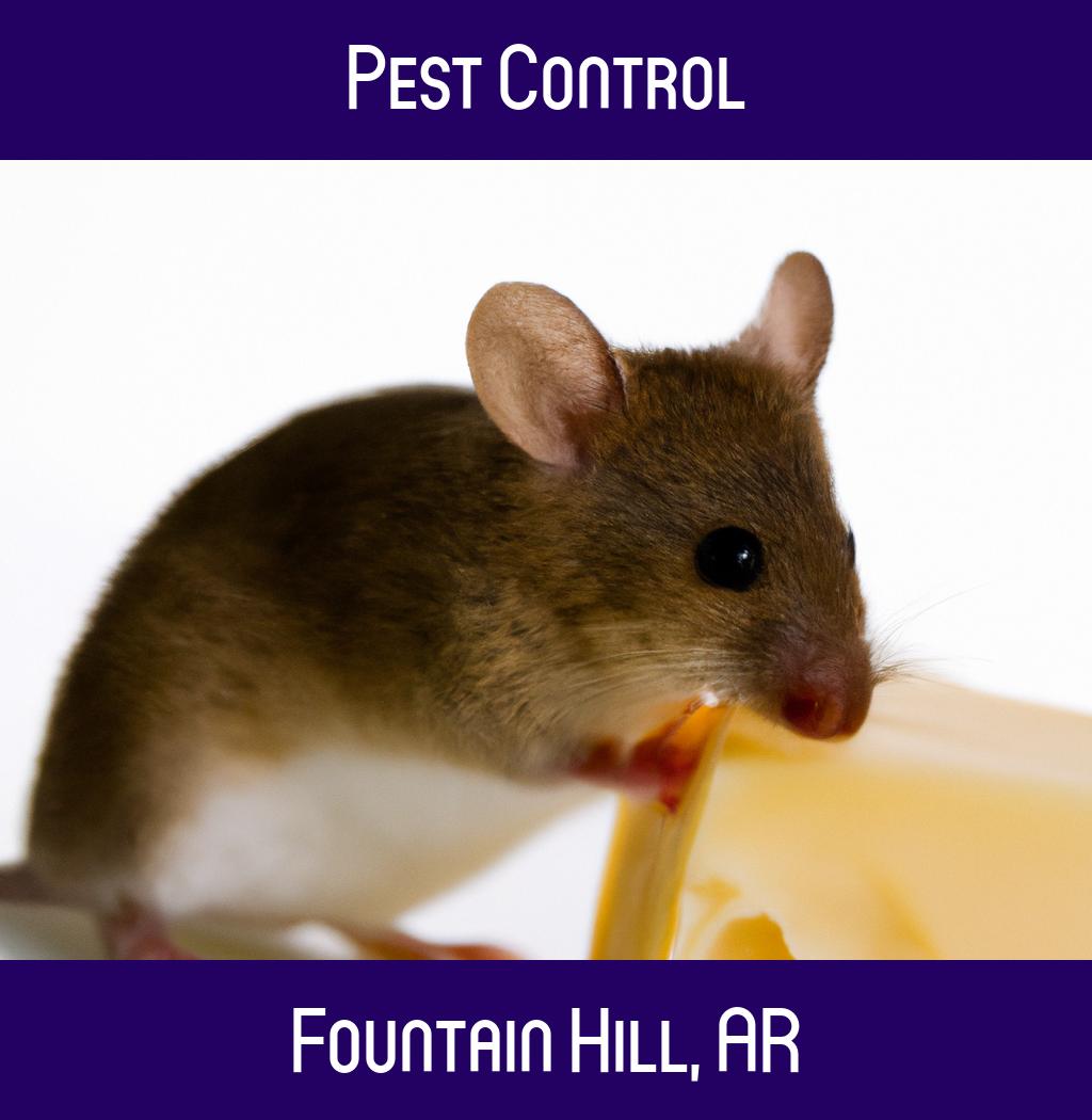 pest control in Fountain Hill Arkansas