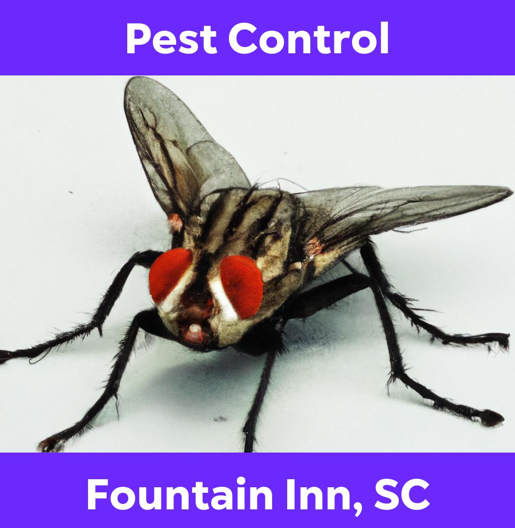 pest control in Fountain Inn South Carolina