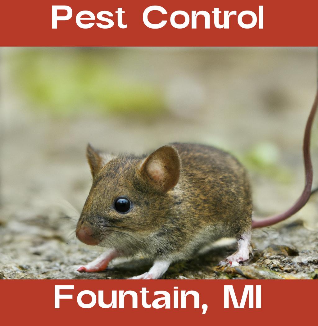 pest control in Fountain Michigan