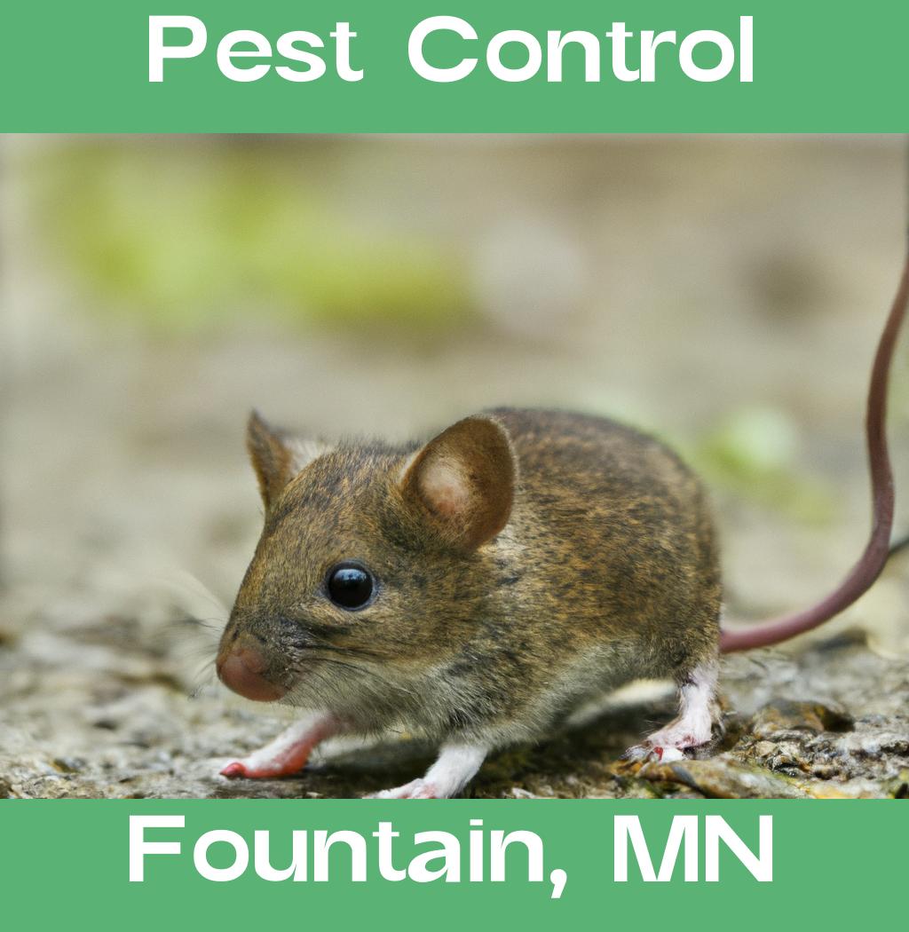 pest control in Fountain Minnesota