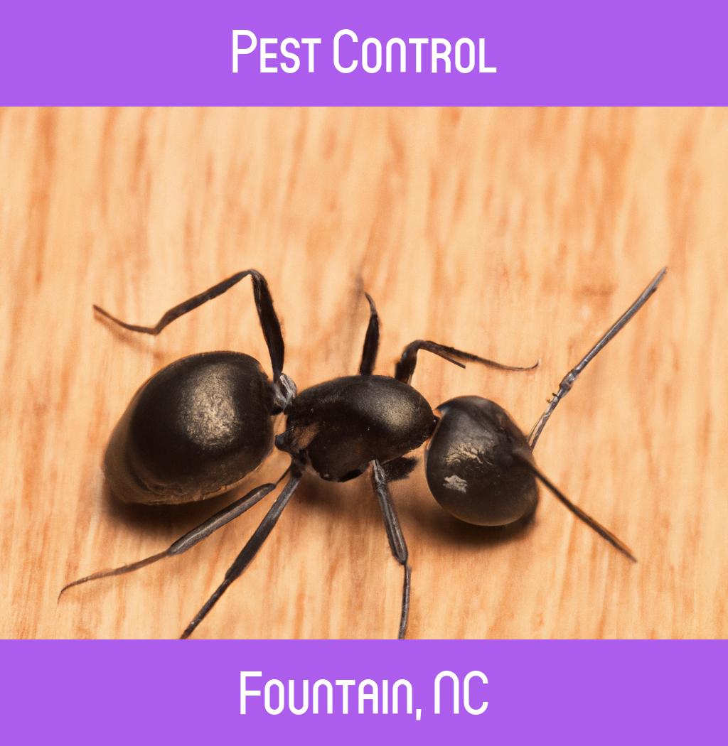 pest control in Fountain North Carolina