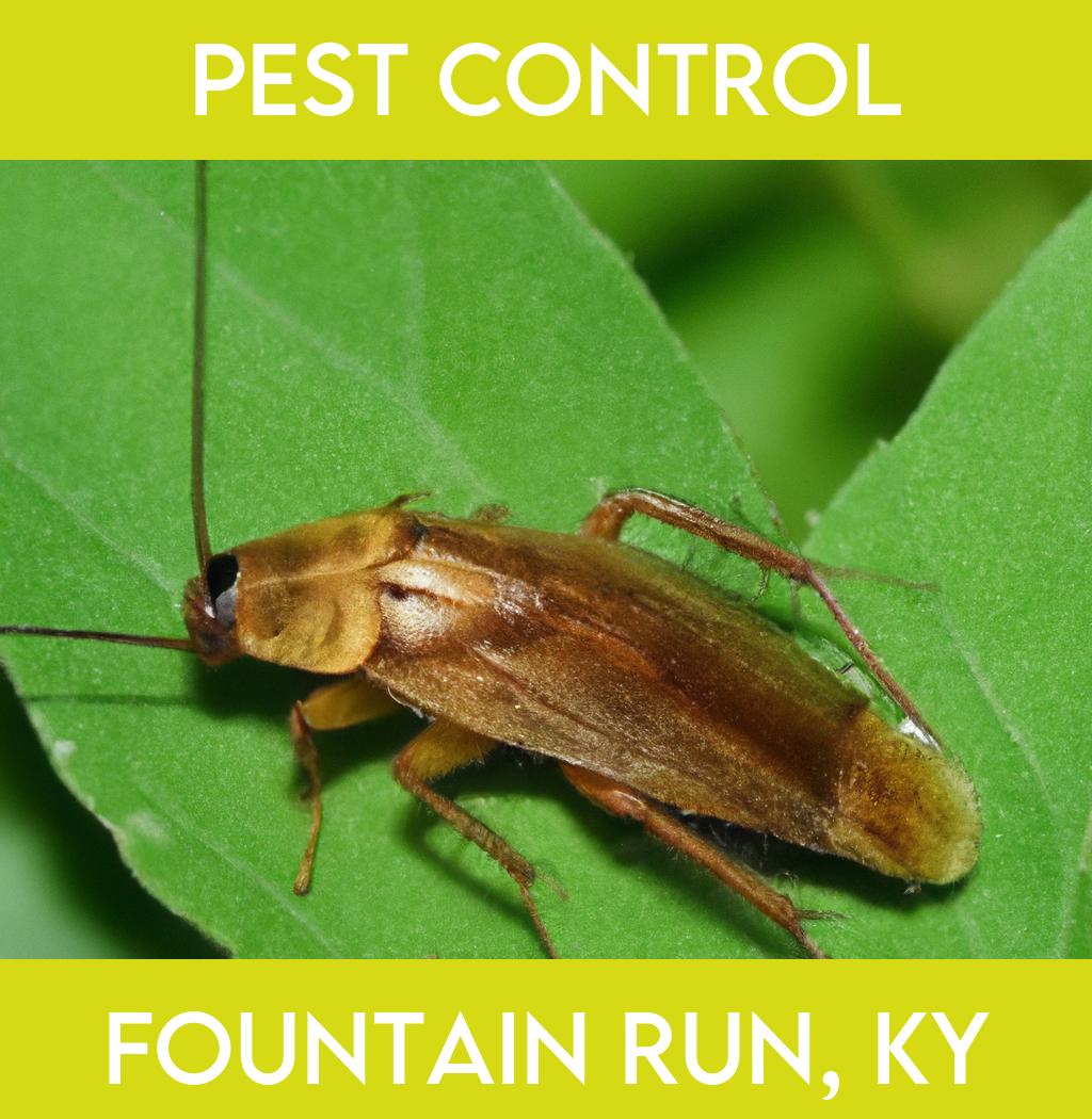 pest control in Fountain Run Kentucky