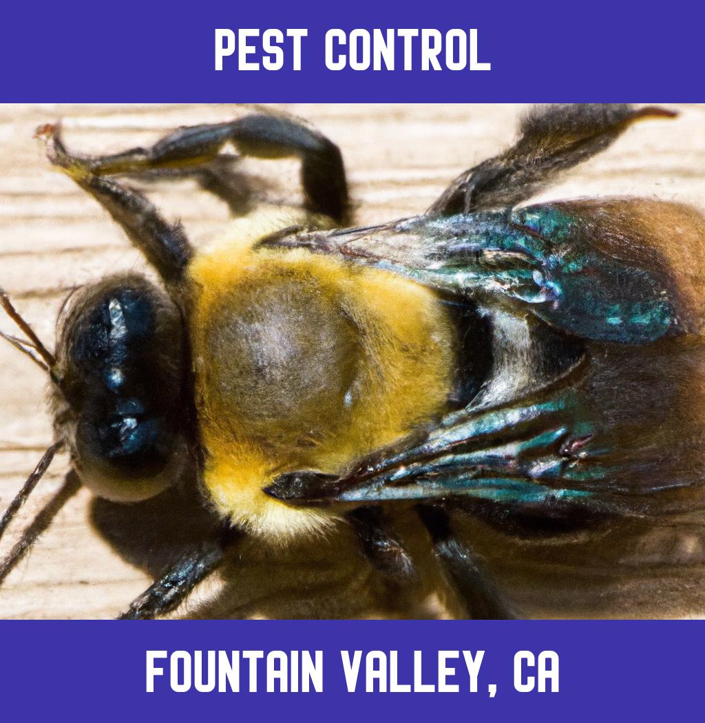 pest control in Fountain Valley California