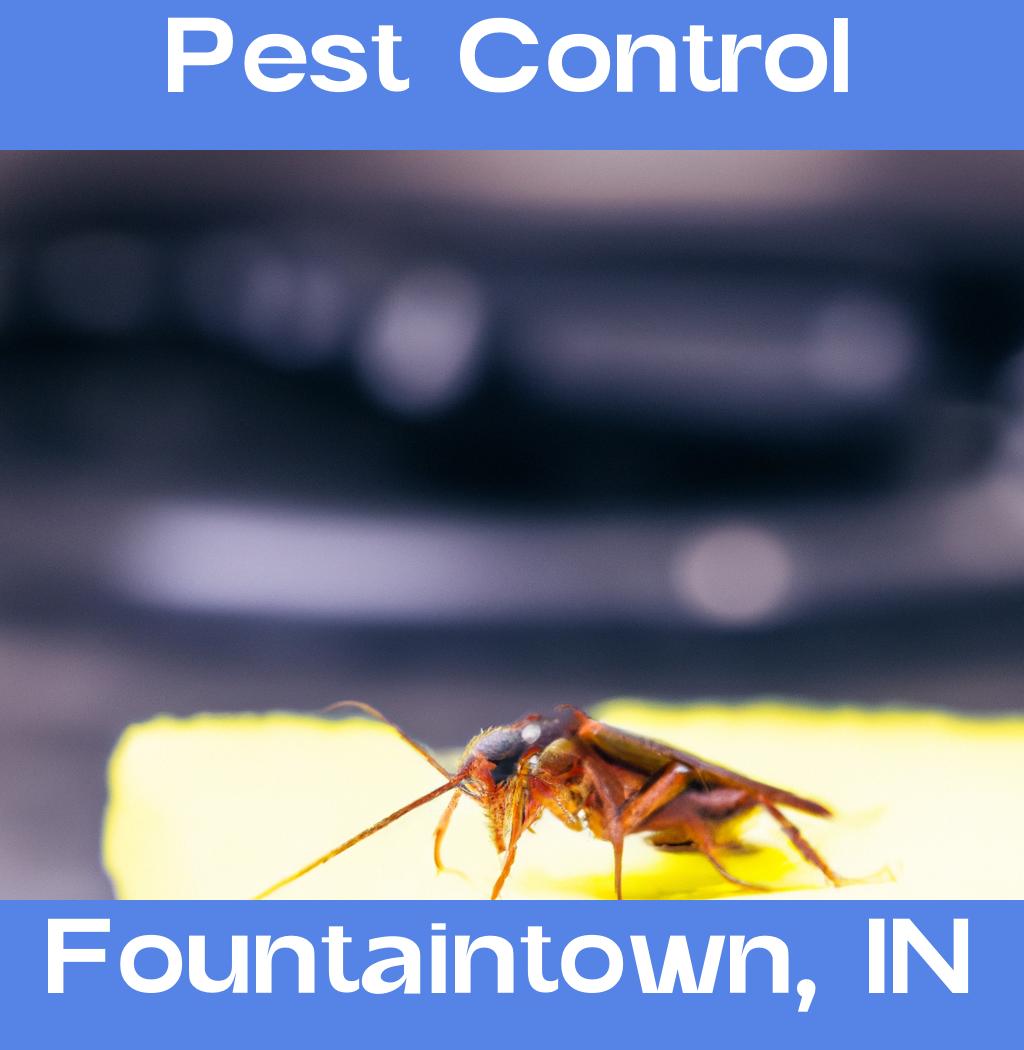pest control in Fountaintown Indiana