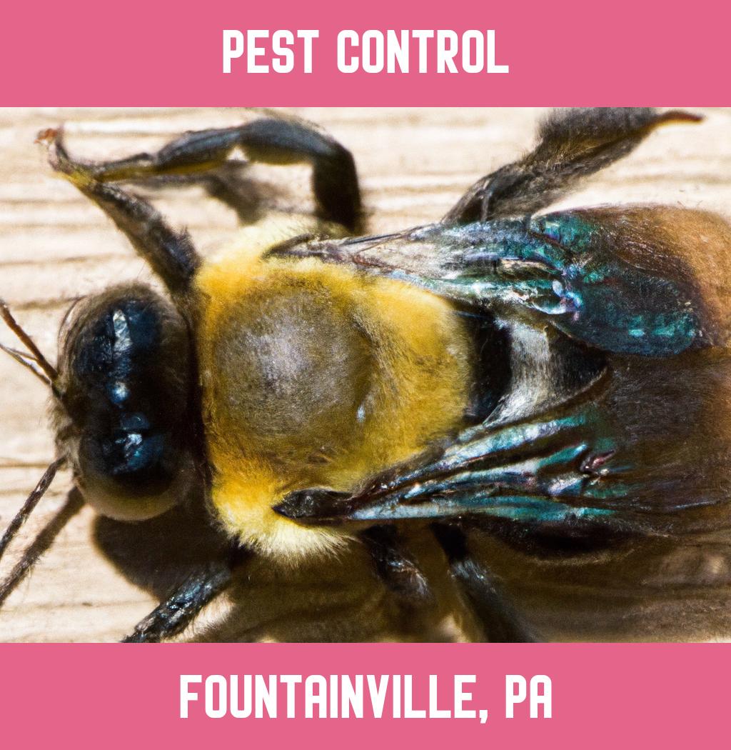 pest control in Fountainville Pennsylvania