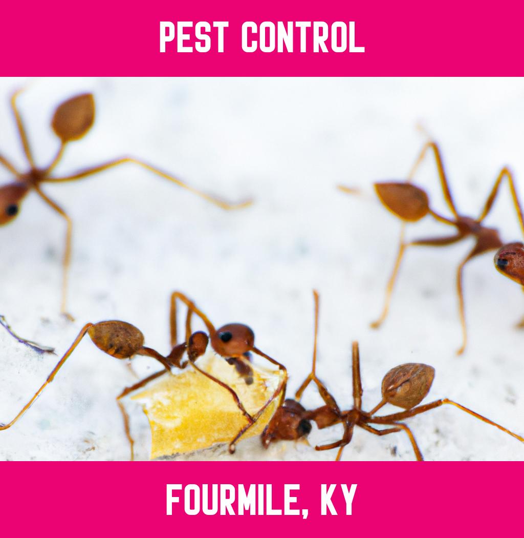 pest control in Fourmile Kentucky