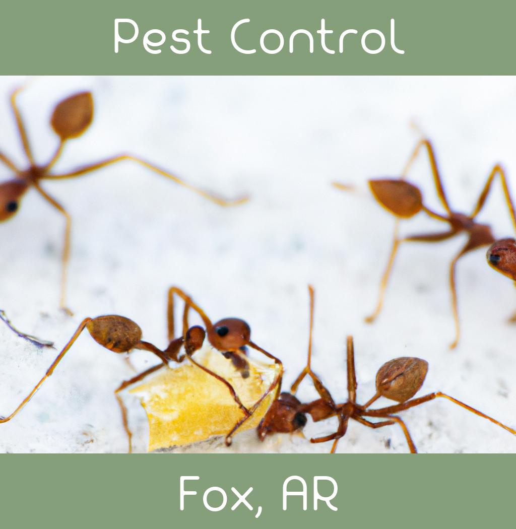 pest control in Fox Arkansas