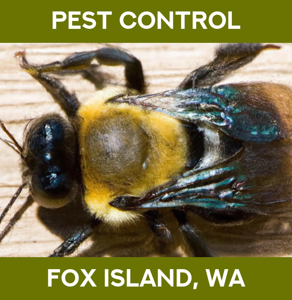 pest control in Fox Island Washington