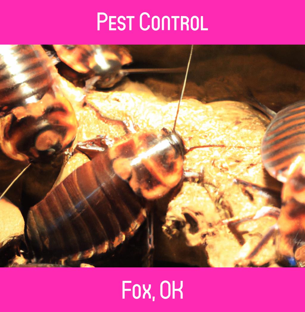 pest control in Fox Oklahoma