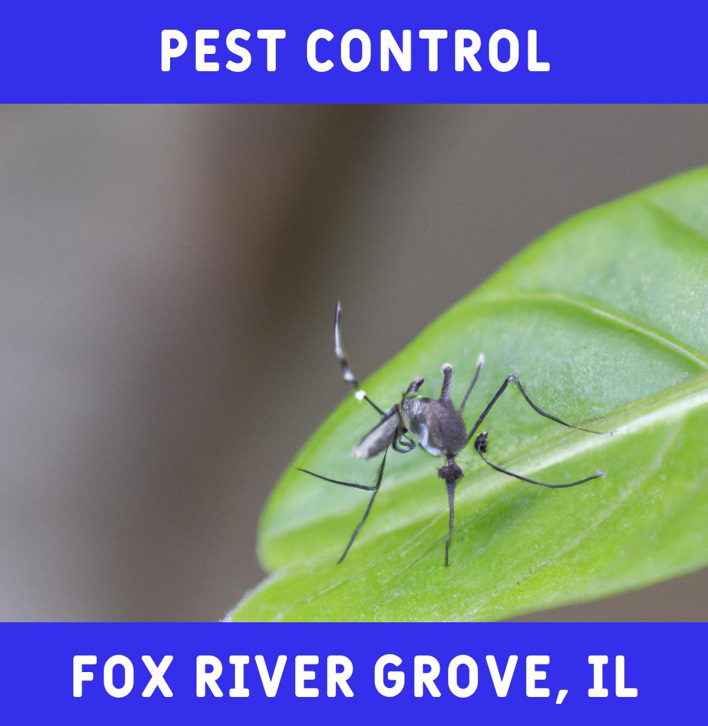 pest control in Fox River Grove Illinois