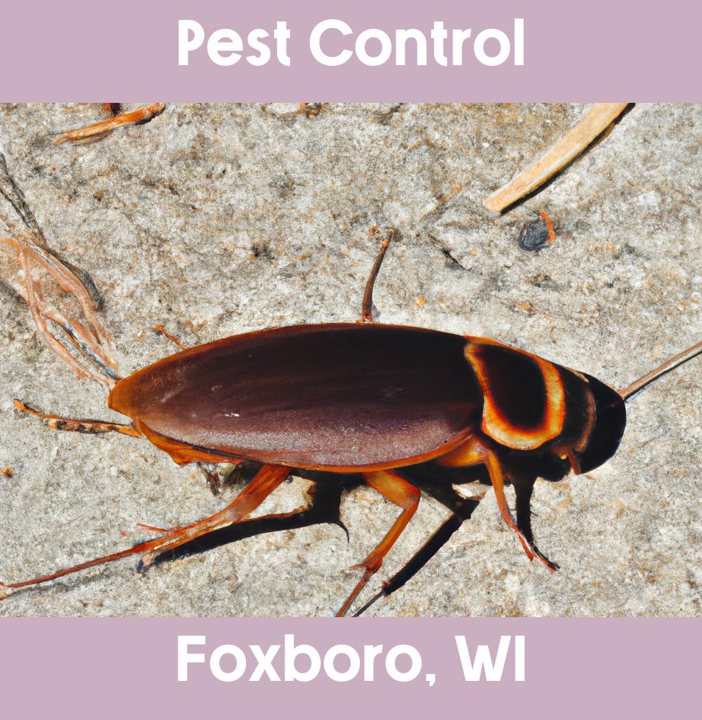 pest control in Foxboro Wisconsin