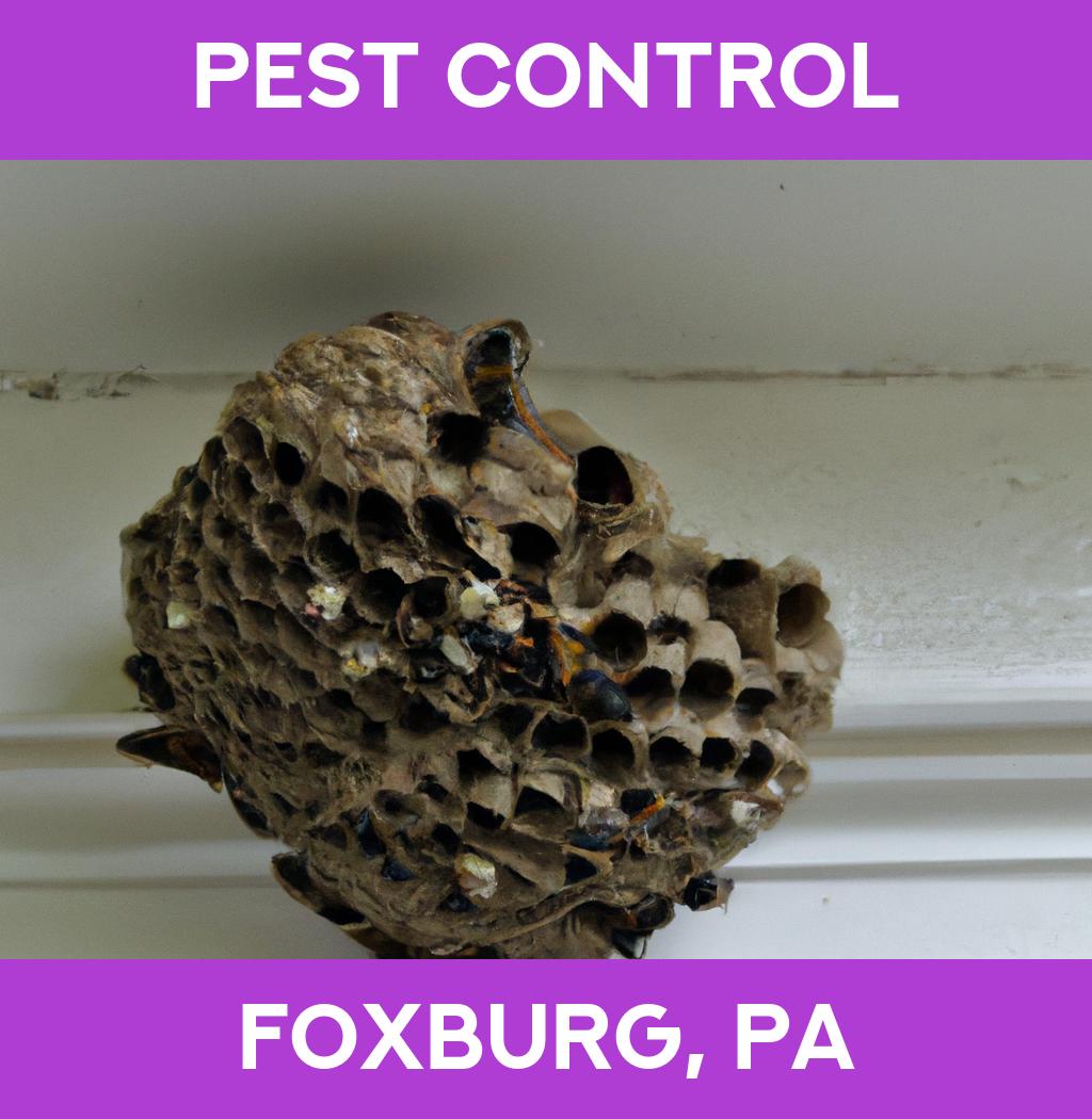 pest control in Foxburg Pennsylvania