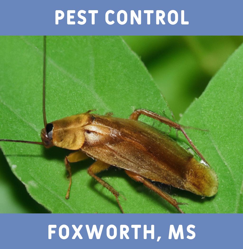 pest control in Foxworth Mississippi