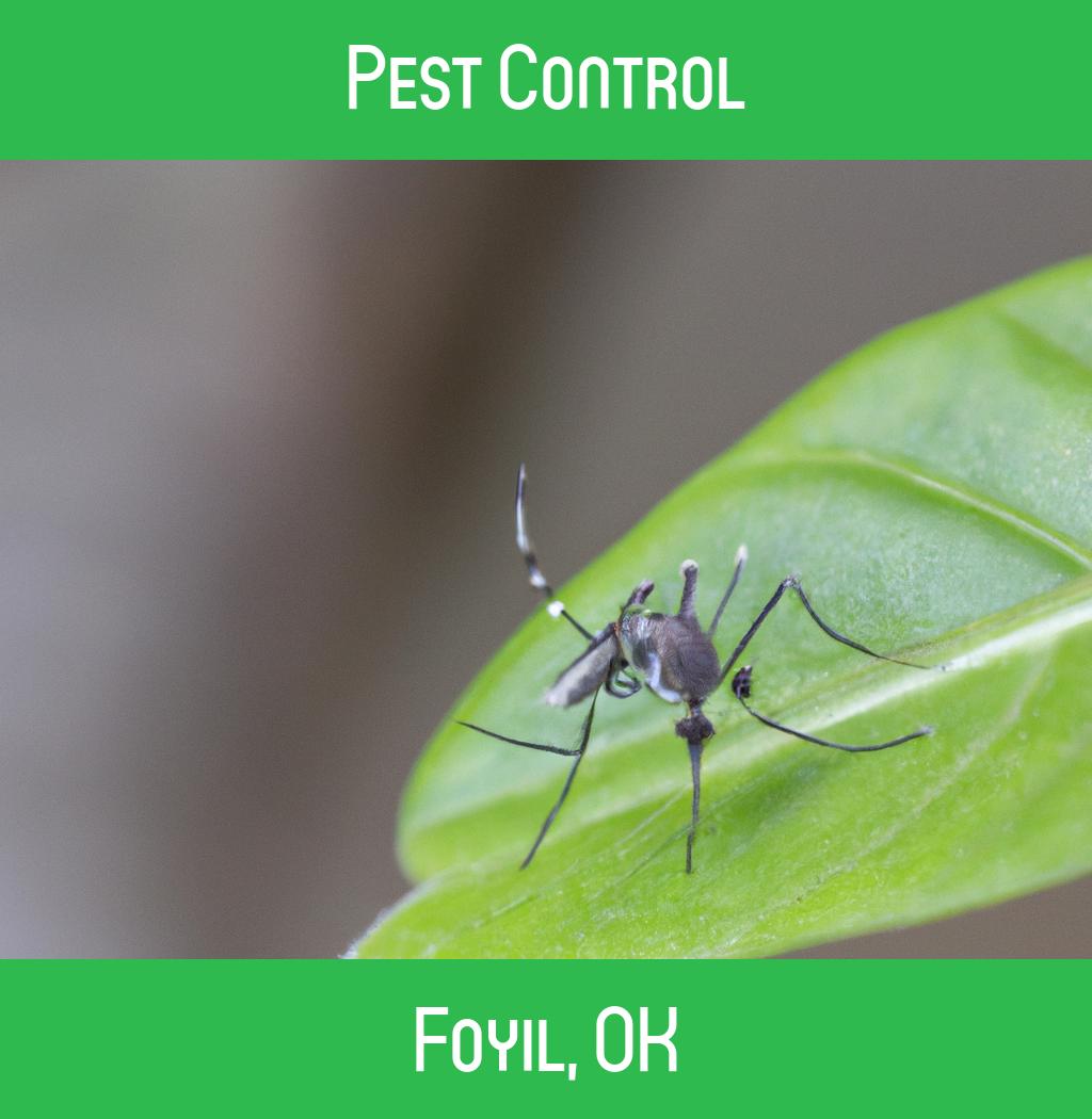 pest control in Foyil Oklahoma