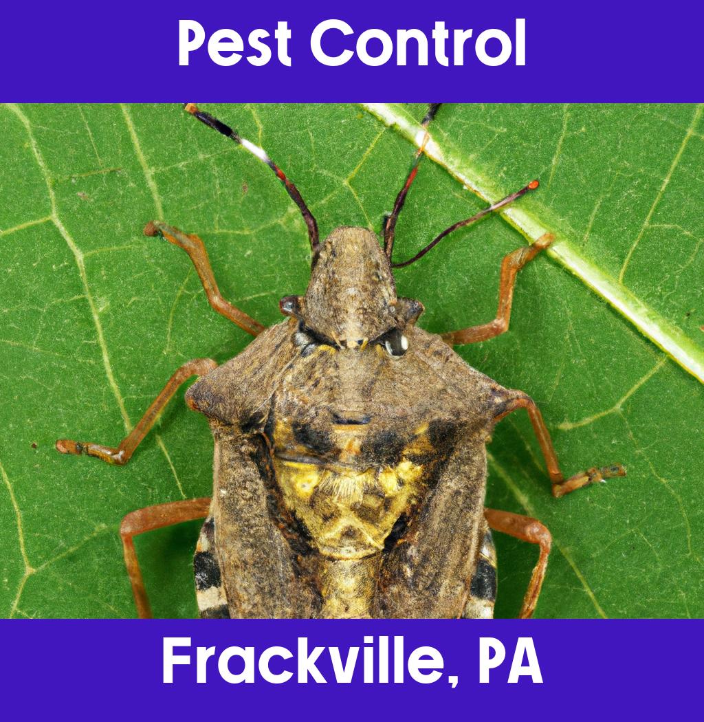 pest control in Frackville Pennsylvania