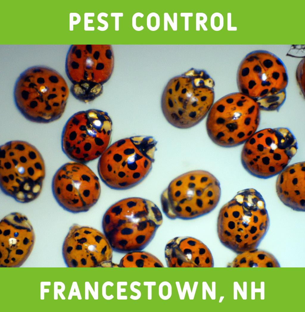pest control in Francestown New Hampshire