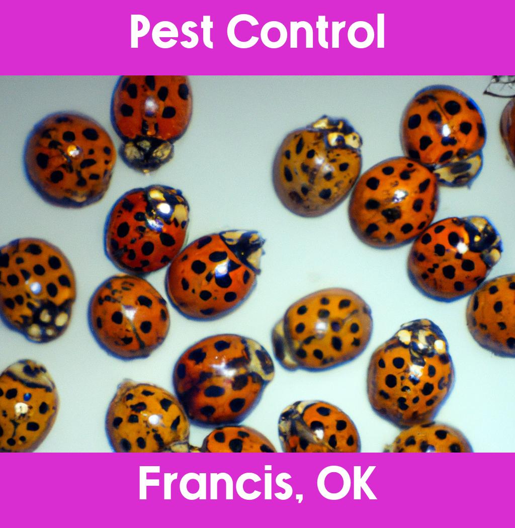 pest control in Francis Oklahoma