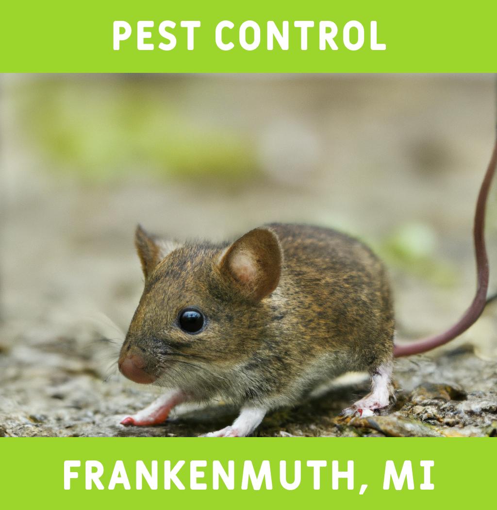 pest control in Frankenmuth Michigan