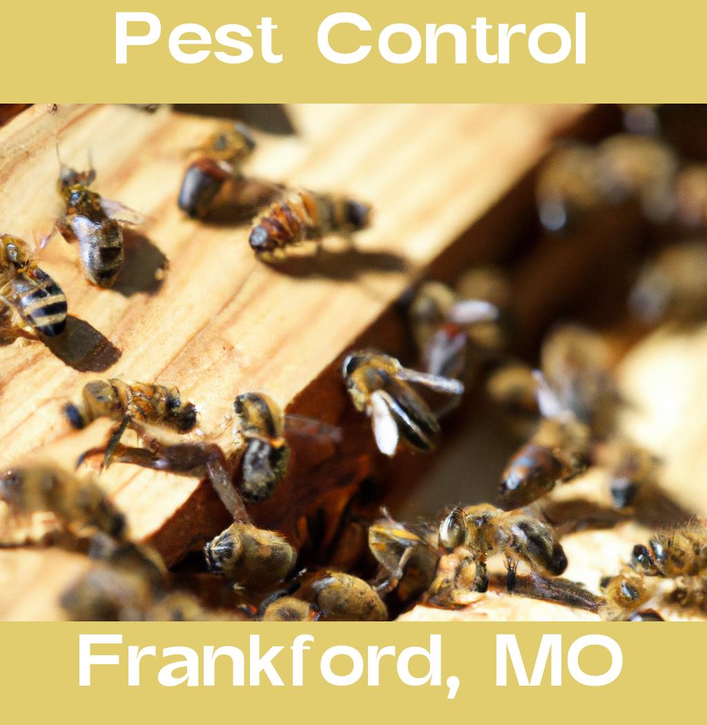 pest control in Frankford Missouri